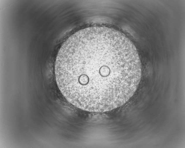 X0000072540824200608111810