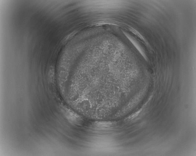 X0000072540825200608111810