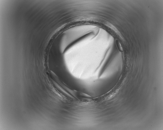 X0000072540826200608111810