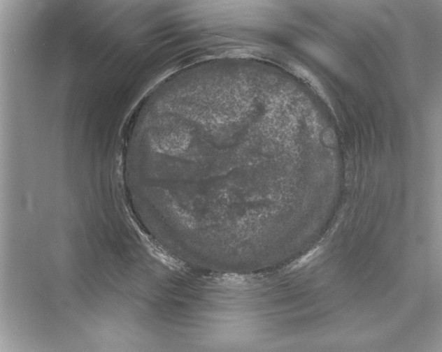 X0000072540827200608111810