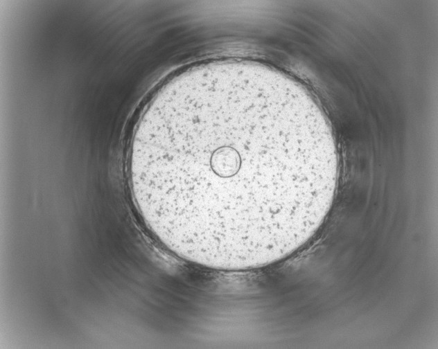 X0000072540828200608111810