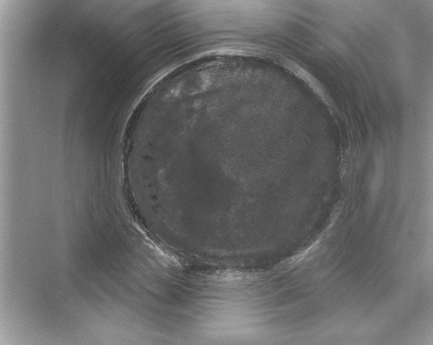 X0000072540829200608111810