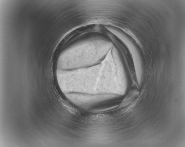 X0000072540830200608111810