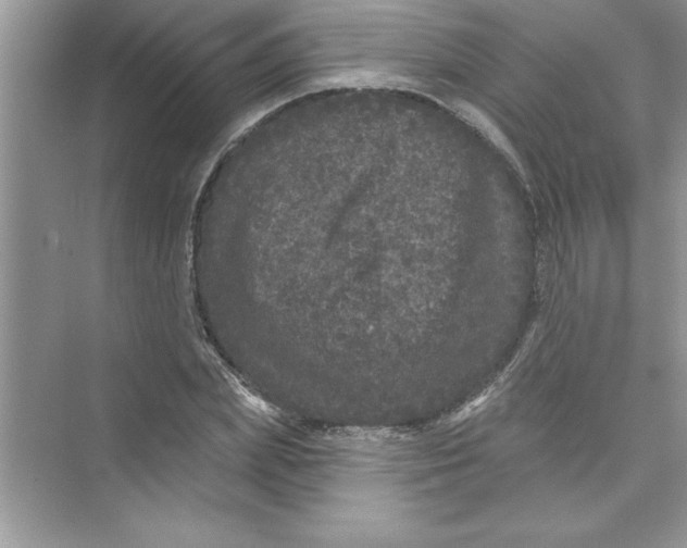 X0000072540831200608111810