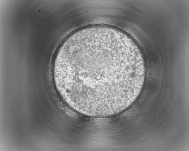 X0000072540832200608111810