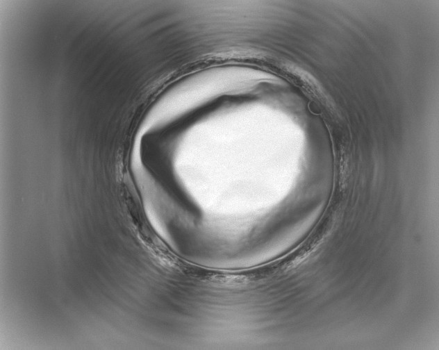 X0000072540833200608111810