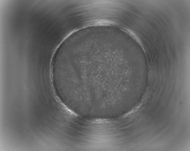 X0000072540835200608111810