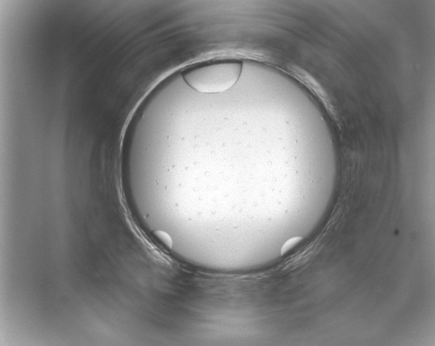 X0000072540836200608111810