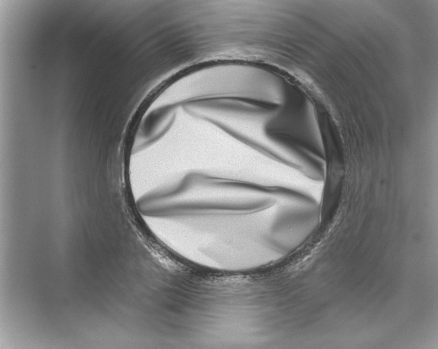 X0000072540838200608111811