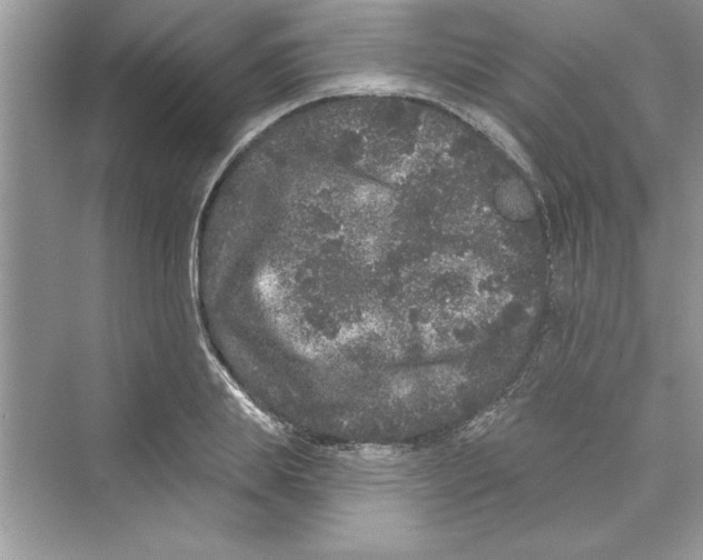 X0000072540839200608111811