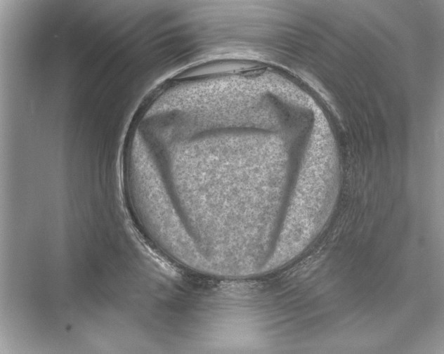 X0000072540840200608111811