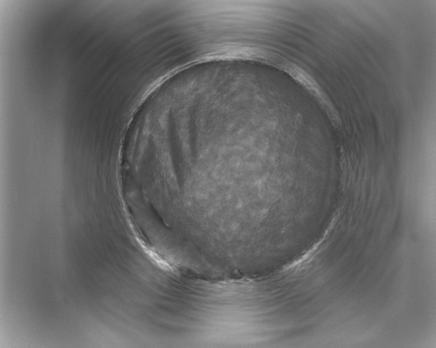 X0000072540842200608111811