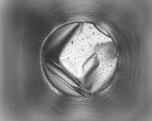 X0000072540843200608111811