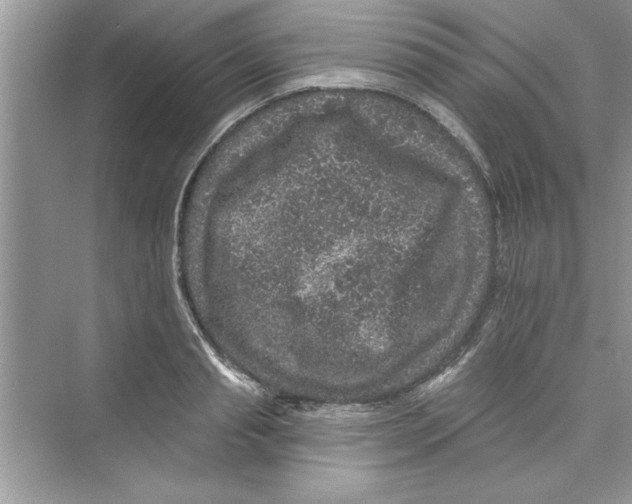 X0000072540845200608111811