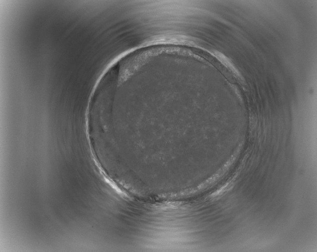 X0000072540846200608111811