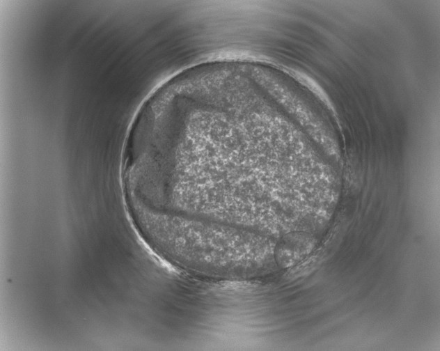 X0000072540847200608111811