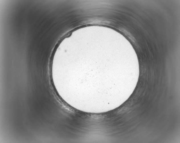 X0000072540848200608111811