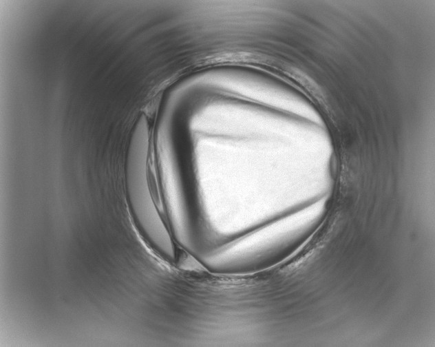 X0000072540849200608111811