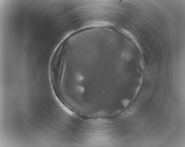 X0000072540851200608111811