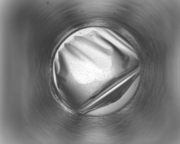 X0000072540852200608111811