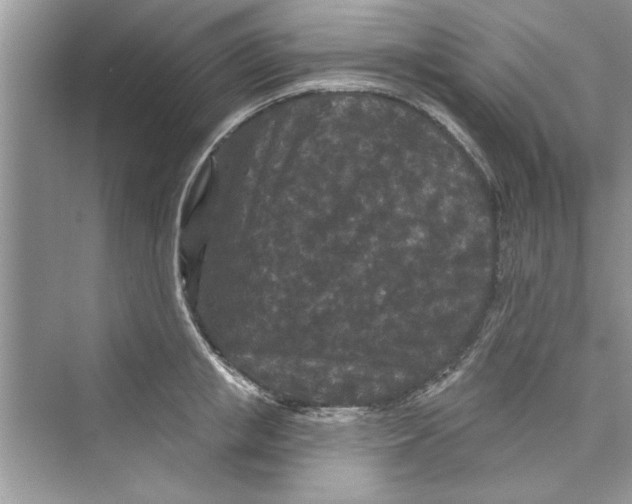 X0000072540853200608111811