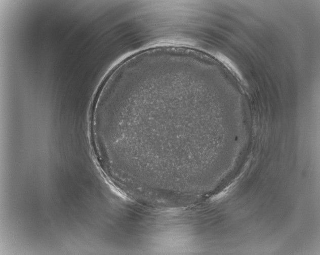 X0000072540854200608111811