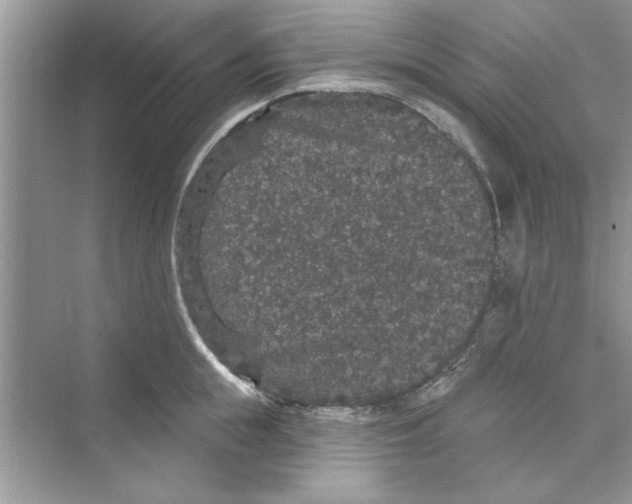 X0000072540855200608111811