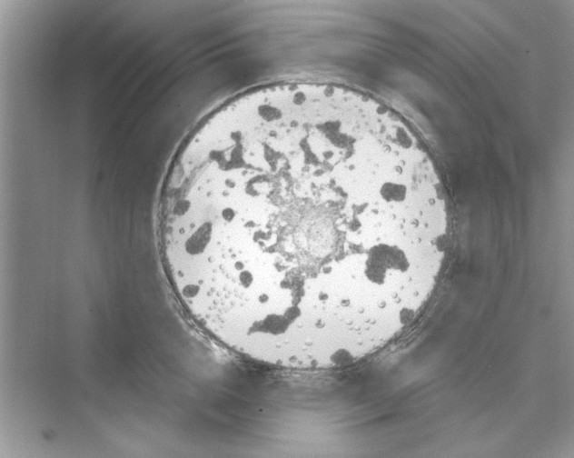 X0000072540856200608111811