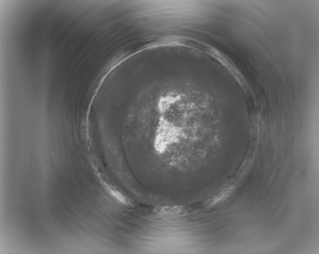 X0000072540858200608111811