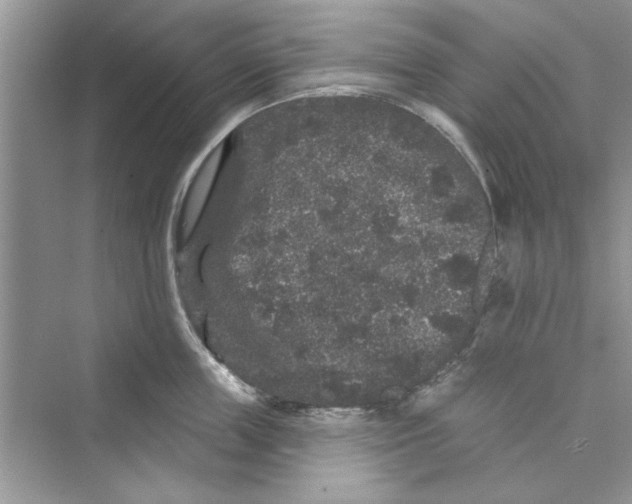 X0000072540859200608111811