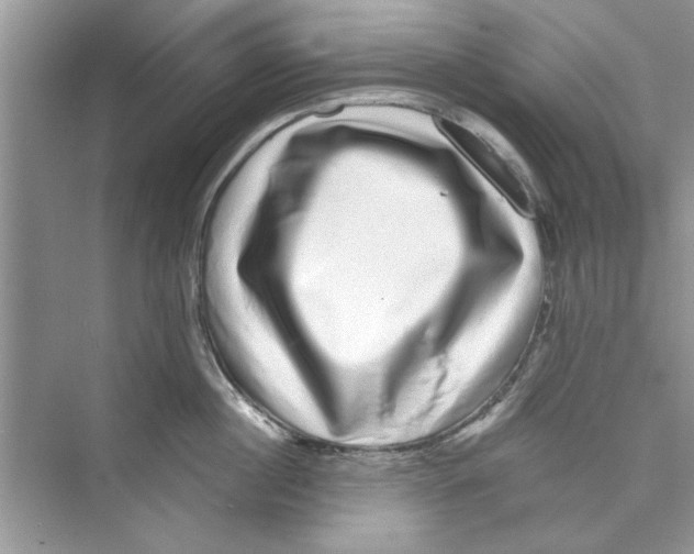 X0000072540860200608111811