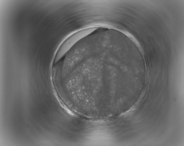 X0000072540862200608111811