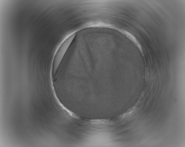 X0000072540863200608111811