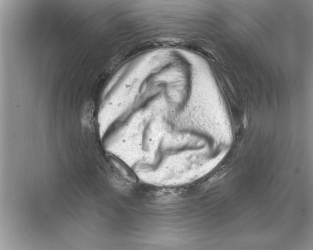 X0000072540867200608111810