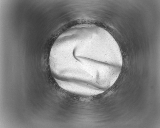 X0000072540870200608111810