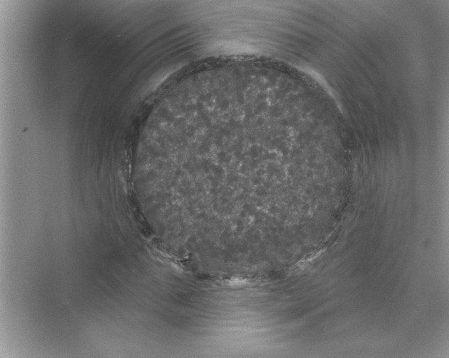 X0000072540871200608111810