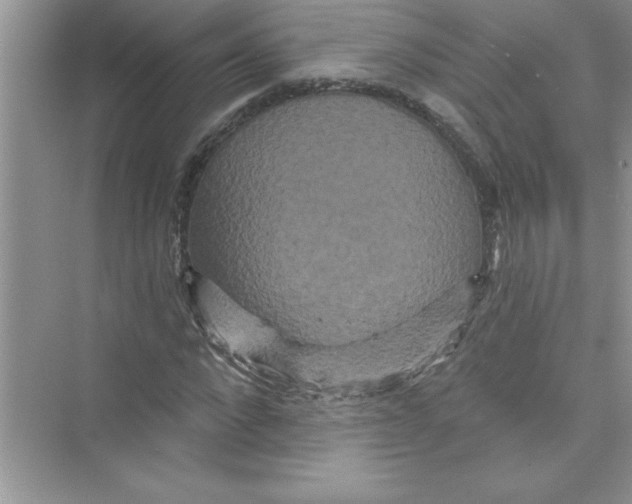 X0000072540872200608111810