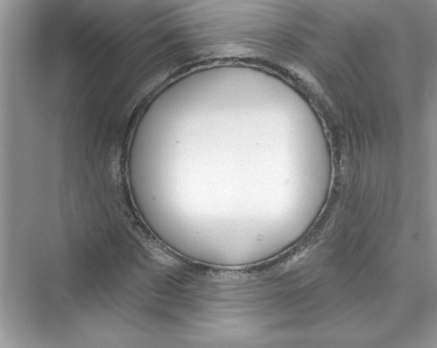 X0000072540873200608111810