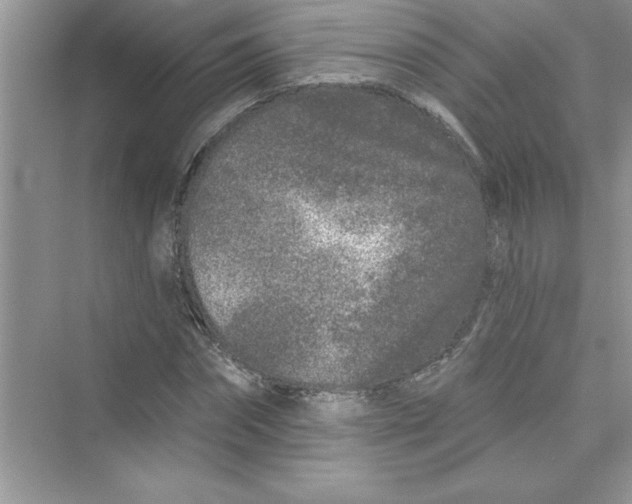 X0000072540874200608111810