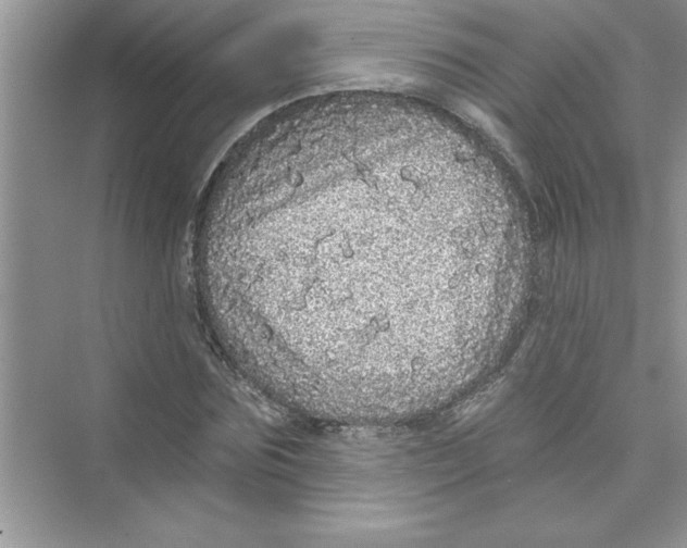 X0000072540875200608111810