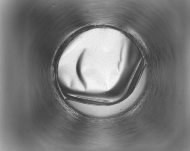 X0000072540876200608111810