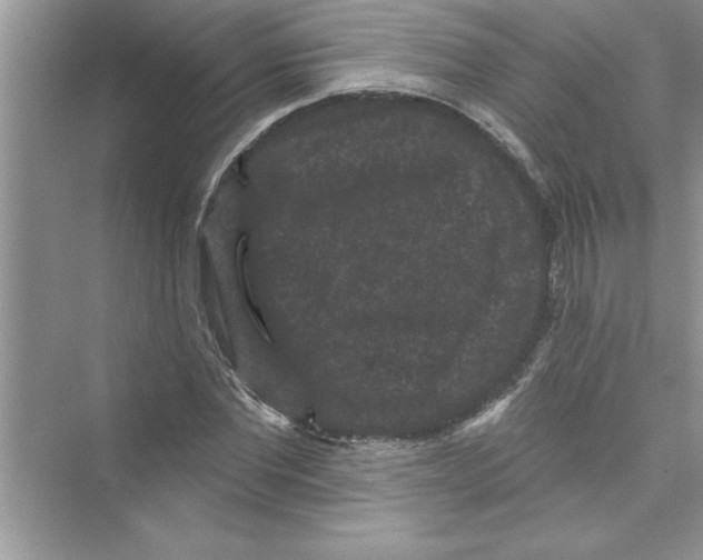 X0000072540877200608111810