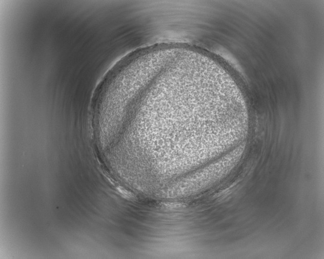 X0000072540878200608111810