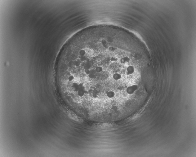 X0000072540879200608111810