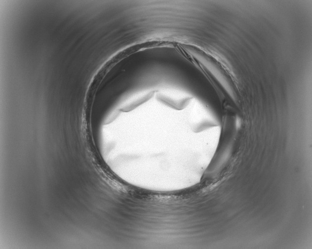 X0000072540880200608111810