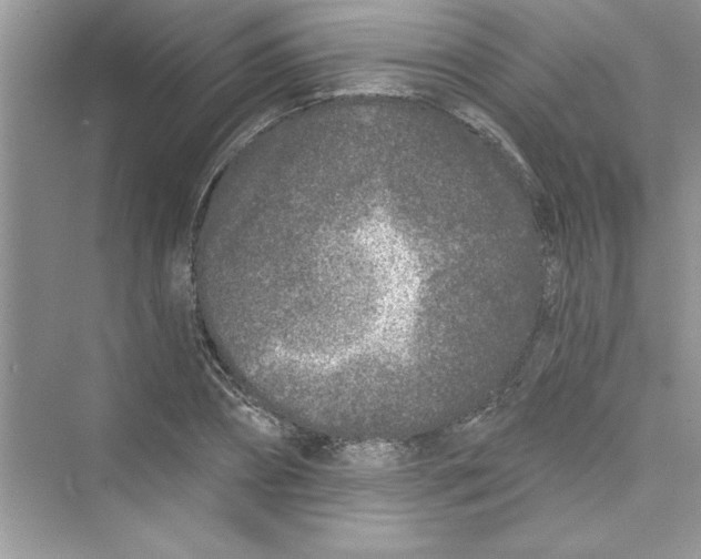 X0000072540882200608111810