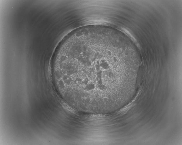 X0000072540883200608111810