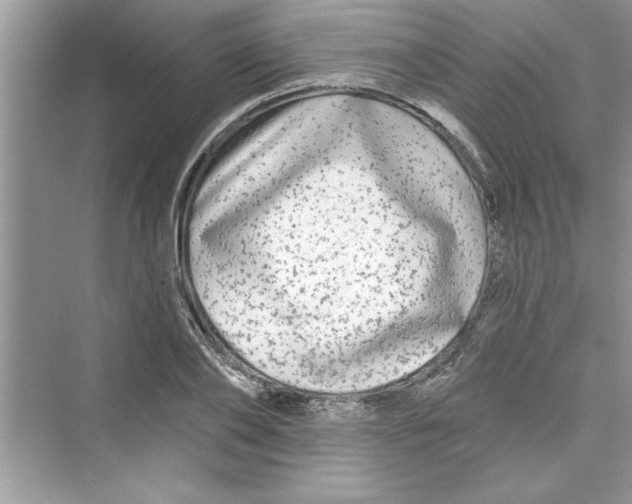 X0000072540886200608111810