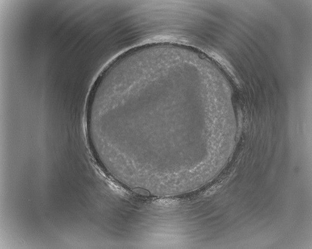 X0000072540888200608111810