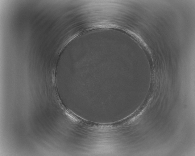 X0000072540889200608111810